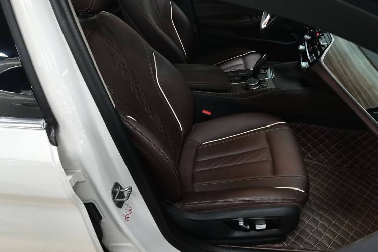 Used BMW 5 Series New Energy 2019 Updated Version 530Le Luxury Package Right Front Seat