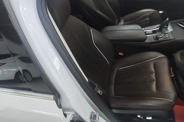 Used BMW 5 Series New Energy 2019 530Le Luxury Package Right Front Seat