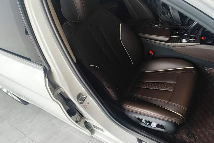 Used BMW 5 Series New Energy 2019 530Le Luxury Package Right Front Seat
