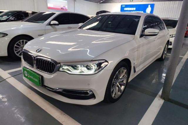 Used BMW 5 Series New Energy 2019 530Le Luxury Package