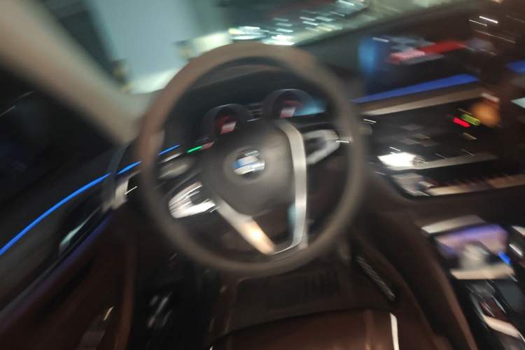 Used BMW 5 Series New Energy 2019 Updated Version 530Le Luxury Package Steering Wheel