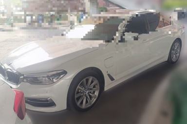 Used BMW 5 Series New Energy 2019 530Le Luxury Package