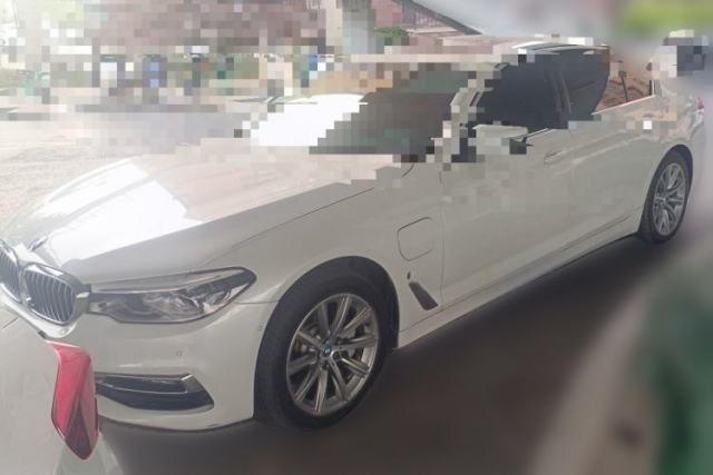 Used BMW 5 Series New Energy 2019 530Le Luxury Package