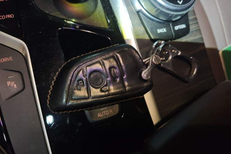 Used BMW 5 Series New Energy 2019 530Le Luxury Package Vehicle Key