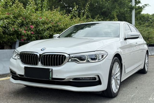 Used BMW 5 Series New Energy 2019 530Le Luxury Package
