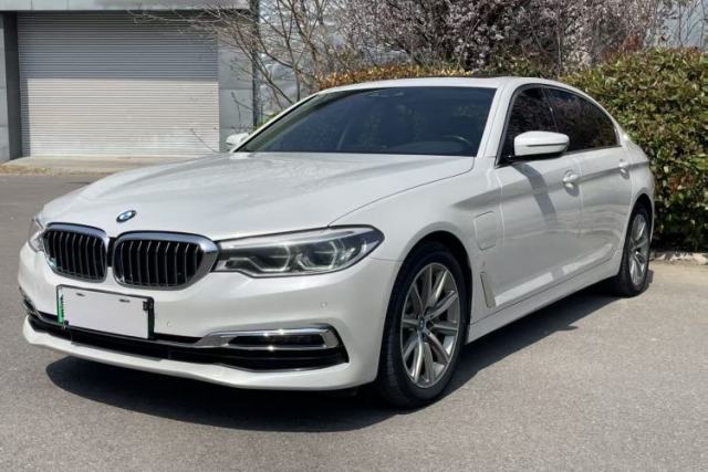 Used BMW 5 Series New Energy 2019 530Le Luxury Package