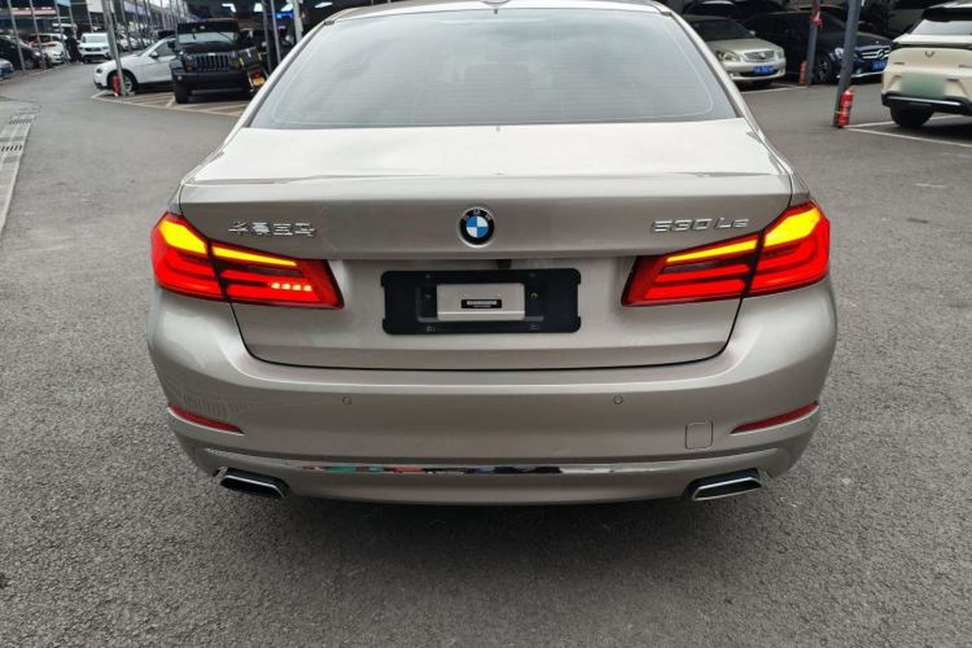 Used BMW 5 Series New Energy 2019 530Le Luxury Package Rear