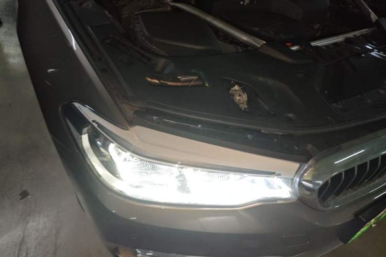 Used BMW 5 Series New Energy 2019 Updated Version 530Le Luxury Package Right Front Headlight