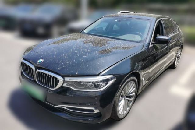 Used BMW 5 Series New Energy 2020 530Le Luxury Package