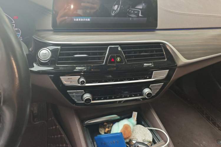 Used BMW 5 Series New Energy 2020 Mileage Upgrade Version 530Le Pioneer Edition Audio And AC Panel