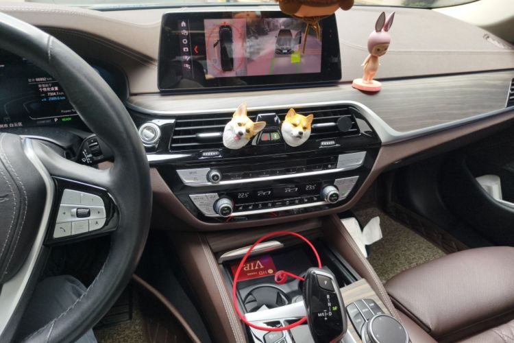Used BMW 5 Series New Energy 2020 530Le Pioneer Edition Audio And AC Panel