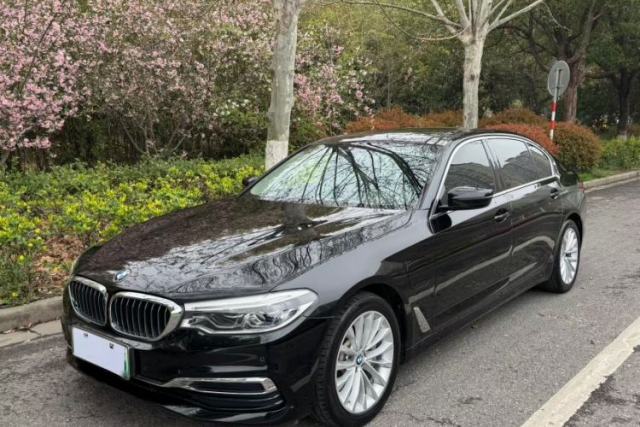 Used BMW 5 Series New Energy 2020 530Le Luxury Package