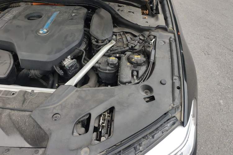 Used BMW 5 Series New Energy 2020 Mileage Upgrade Version 530Le Luxury Package Engine Bay Left