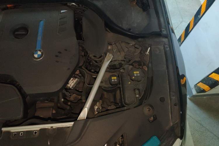 Used BMW 5 Series New Energy 2020 Mileage Upgrade Version 530Le Luxury Package Engine Bay Left