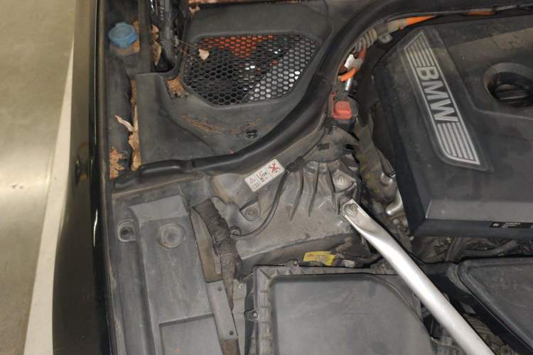 Used BMW 5 Series New Energy 2020 530Le Luxury Package Engine Bay Right