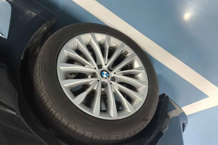 Used BMW 5 Series New Energy 2020 Mileage Upgrade Version 530Le Luxury Package Exterior 4