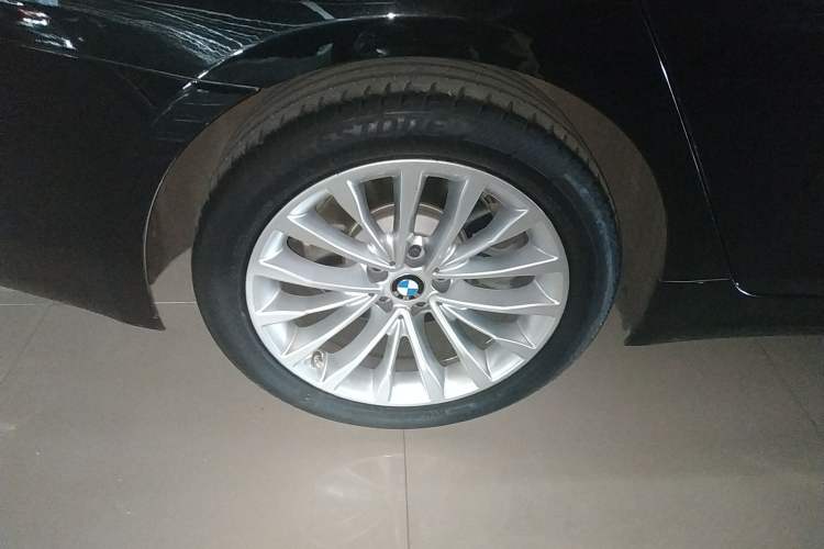 Used BMW 5 Series New Energy 2020 530Le Luxury Package Exterior 8