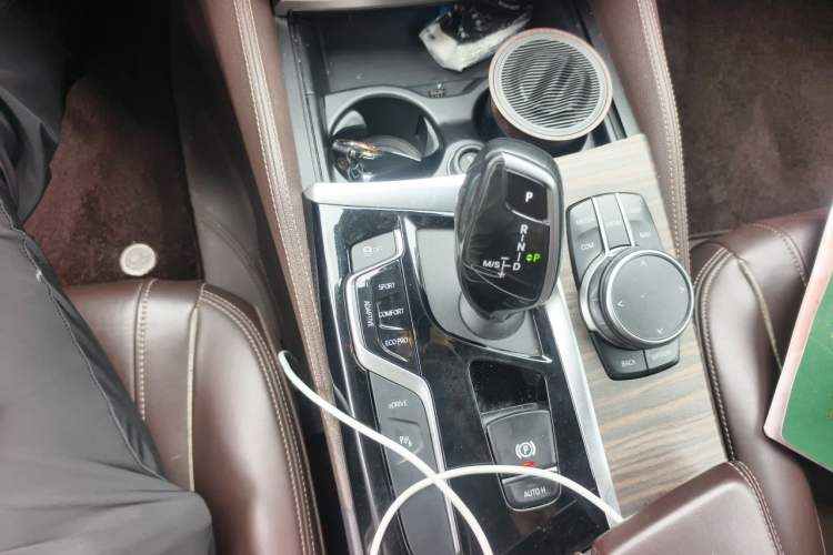 Used BMW 5 Series New Energy 2020 Mileage Upgrade Version 530Le Luxury Package Gear Lever
