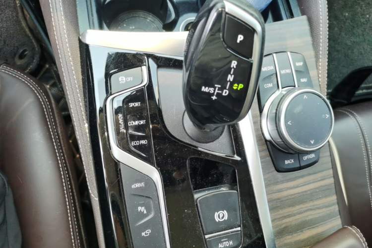 Used BMW 5 Series New Energy 2020 530Le Luxury Package Gear Lever