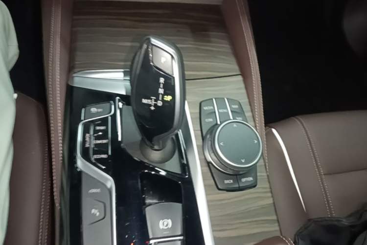 Used BMW 5 Series New Energy 2020 Mileage Upgrade Version 530Le Luxury Package Gear Lever