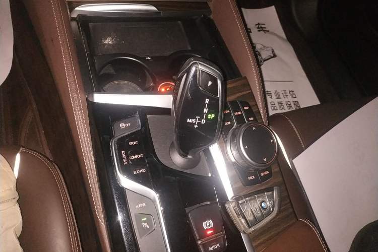 Used BMW 5 Series New Energy 2020 530Le Luxury Package Gear Lever