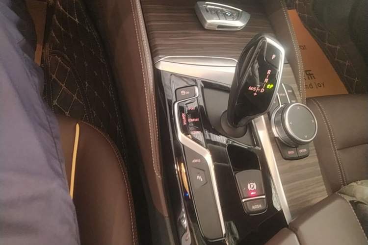 Used BMW 5 Series New Energy 2020 Mileage Upgrade Version 530Le Luxury Package Gear Lever