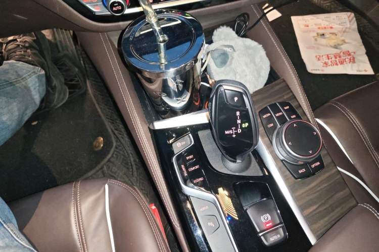 Used BMW 5 Series New Energy 2020 Mileage Upgrade Version 530Le Luxury Package Gear Lever