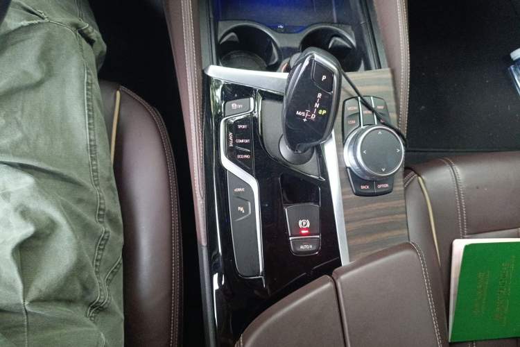 Used BMW 5 Series New Energy 2020 530Le Luxury Package Gear Lever