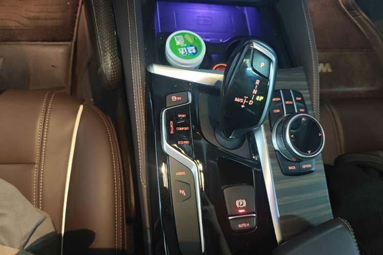 Used BMW 5 Series New Energy 2020 Mileage Upgrade Version 530Le Luxury Package Gear Lever