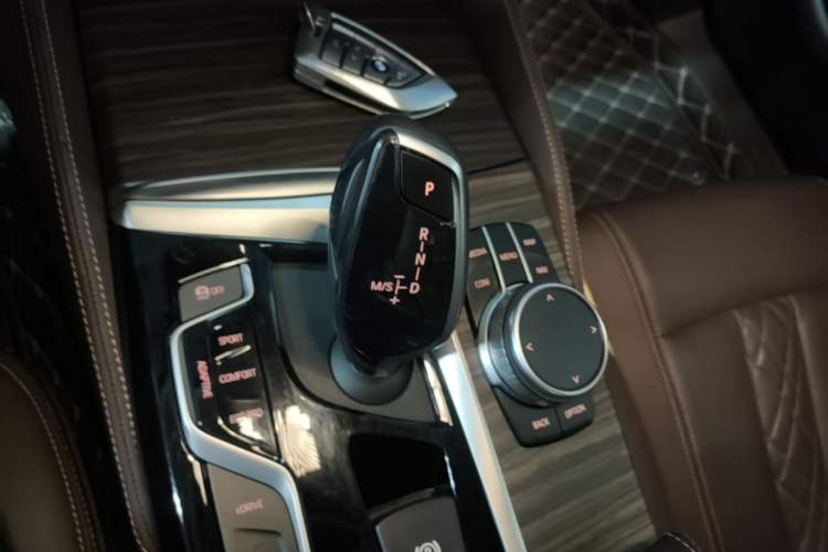 Used BMW 5 Series New Energy 2020 Mileage Upgrade Version 530Le Luxury Package Gear Lever