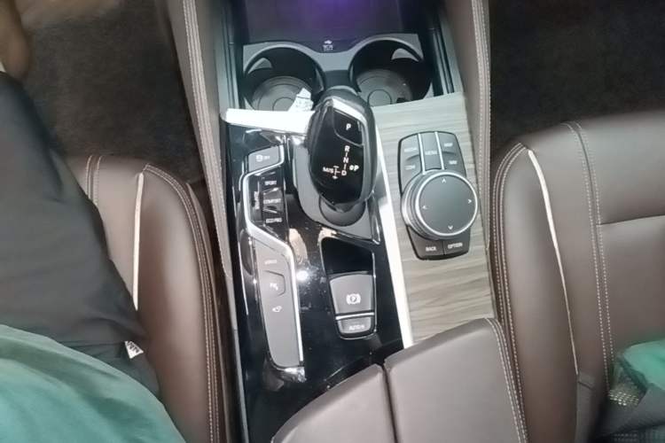 Used BMW 5 Series New Energy 2020 Mileage Upgrade Version 530Le Luxury Package Gear Lever
