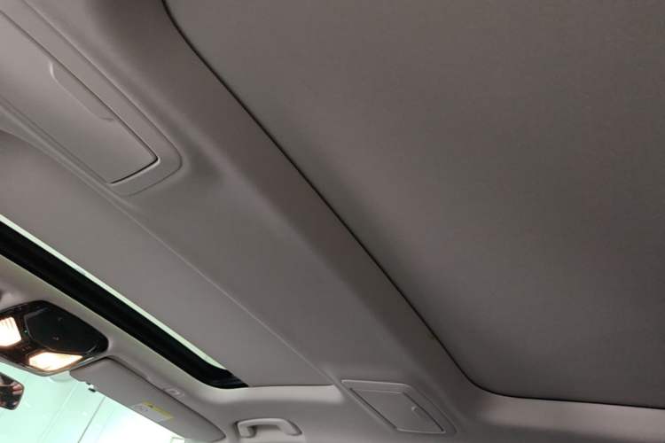 Used BMW 5 Series New Energy 2020 Mileage Upgrade Version 530Le Pioneer Edition Headliner