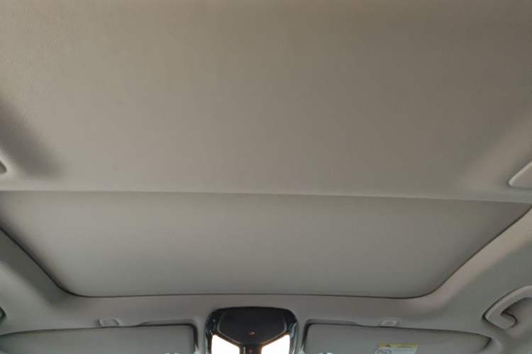 Used BMW 5 Series New Energy 2020 530Le Luxury Package Headliner