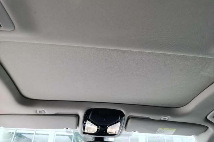 Used BMW 5 Series New Energy 2020 530Le Luxury Package Headliner