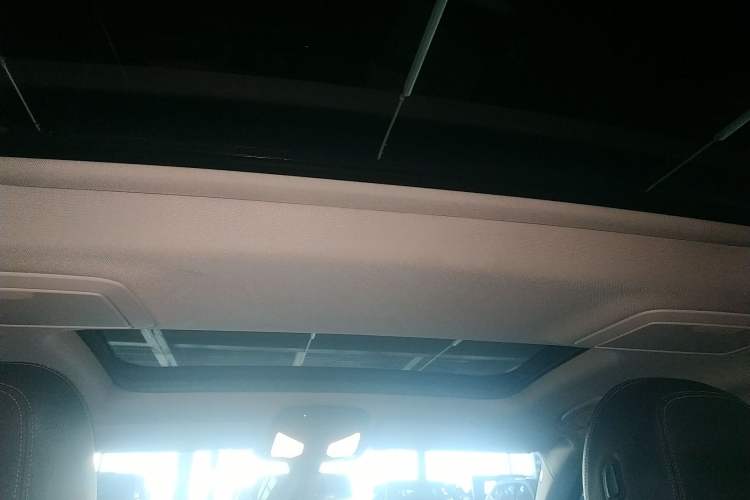 Used BMW 5 Series New Energy 2020 530Le Luxury Package Headliner