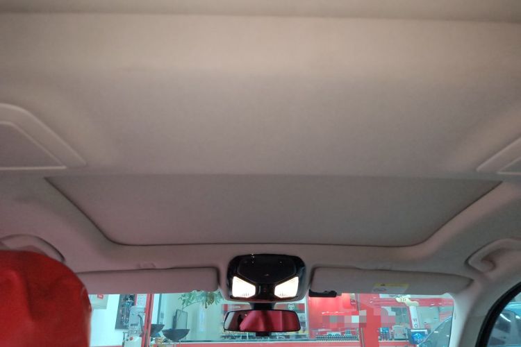 Used BMW 5 Series New Energy 2020 530Le Luxury Package Headliner