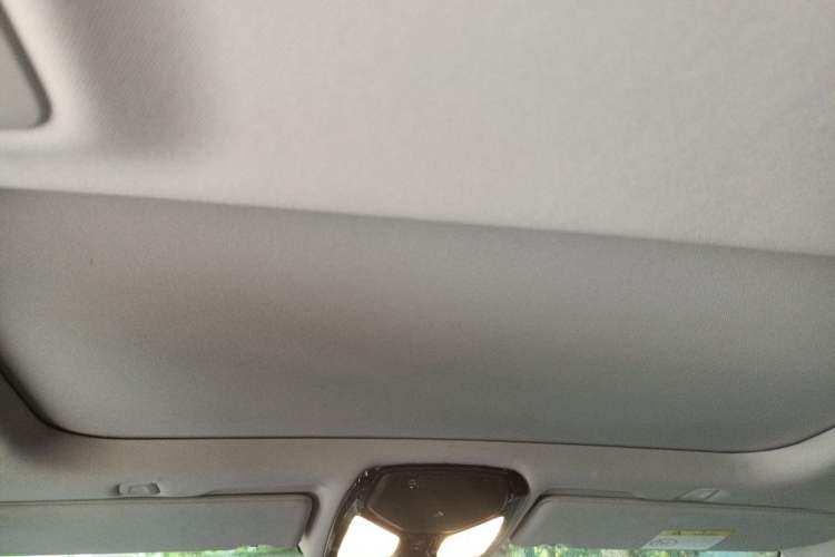 Used BMW 5 Series New Energy 2020 530Le Luxury Package Headliner