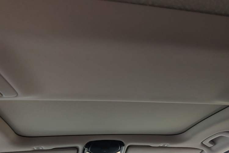 Used BMW 5 Series New Energy 2020 Mileage Upgrade Version 530Le Luxury Package Headliner