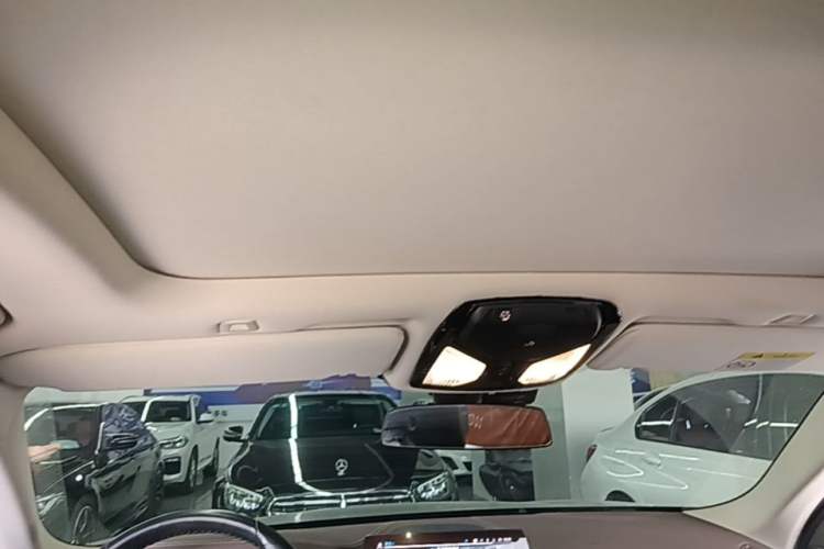 Used BMW 5 Series New Energy 2020 530Le Pioneer Edition Headliner