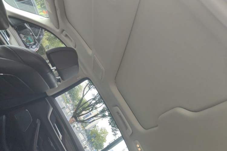 Used BMW 5 Series New Energy 2020 Mileage Upgrade Version 530Le Pioneer Edition Headliner