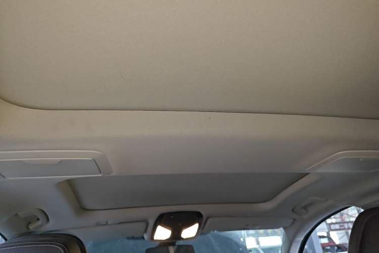 Used BMW 5 Series New Energy 2020 Mileage Upgrade Version 530Le Pioneer Edition Headliner