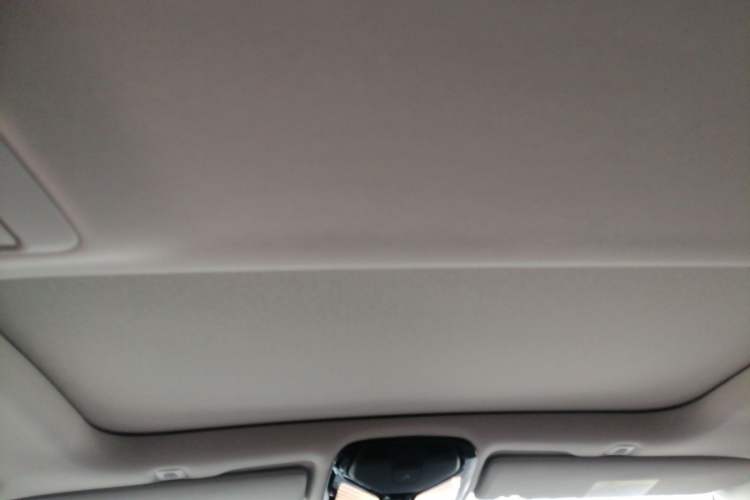 Used BMW 5 Series New Energy 2020 Mileage Upgrade Version 530Le Pioneer Edition Headliner