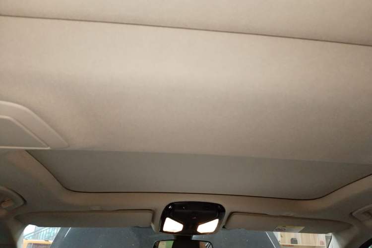 Used BMW 5 Series New Energy 2020 Mileage Upgrade Version 530Le Luxury Package Headliner