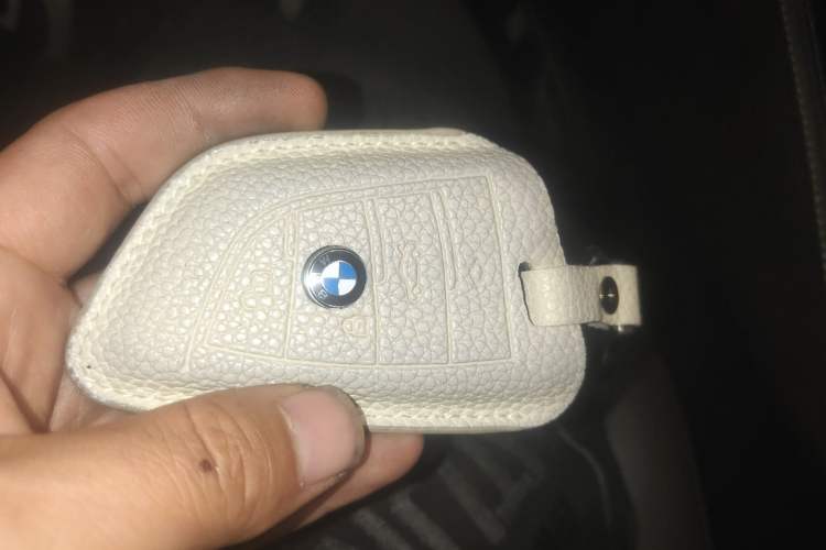 Used BMW 5 Series New Energy 2020 Mileage Upgrade Version 530Le Luxury Package Interior 1