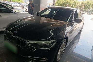 Used BMW 5 Series New Energy 2020 530Le Pioneer Edition