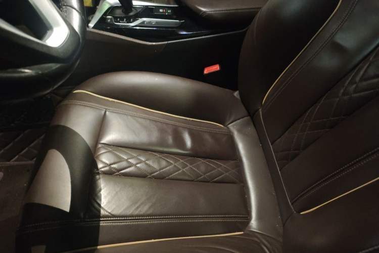 Used BMW 5 Series New Energy 2020 530Le Luxury Package Left Front Seat