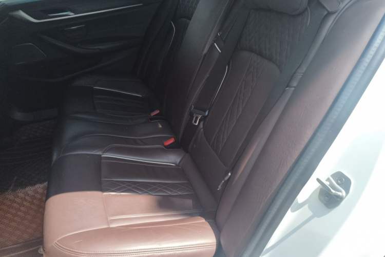Used BMW 5 Series New Energy 2020 Mileage Upgrade Version 530Le Pioneer Edition Left Rear Seat