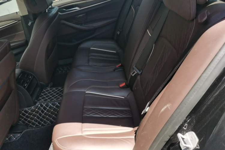 Used BMW 5 Series New Energy 2020 530Le Luxury Package Left Rear Seat
