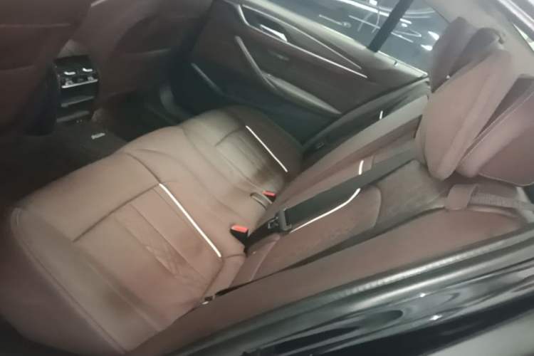 Used BMW 5 Series New Energy 2020 Mileage Upgrade Version 530Le Luxury Package Left Rear Seat