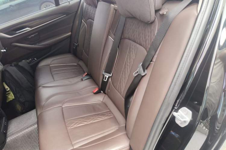Used BMW 5 Series New Energy 2020 Mileage Upgrade Version 530Le Luxury Package Left Rear Seat